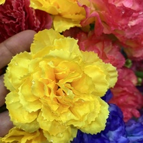 Carnation yellow drops