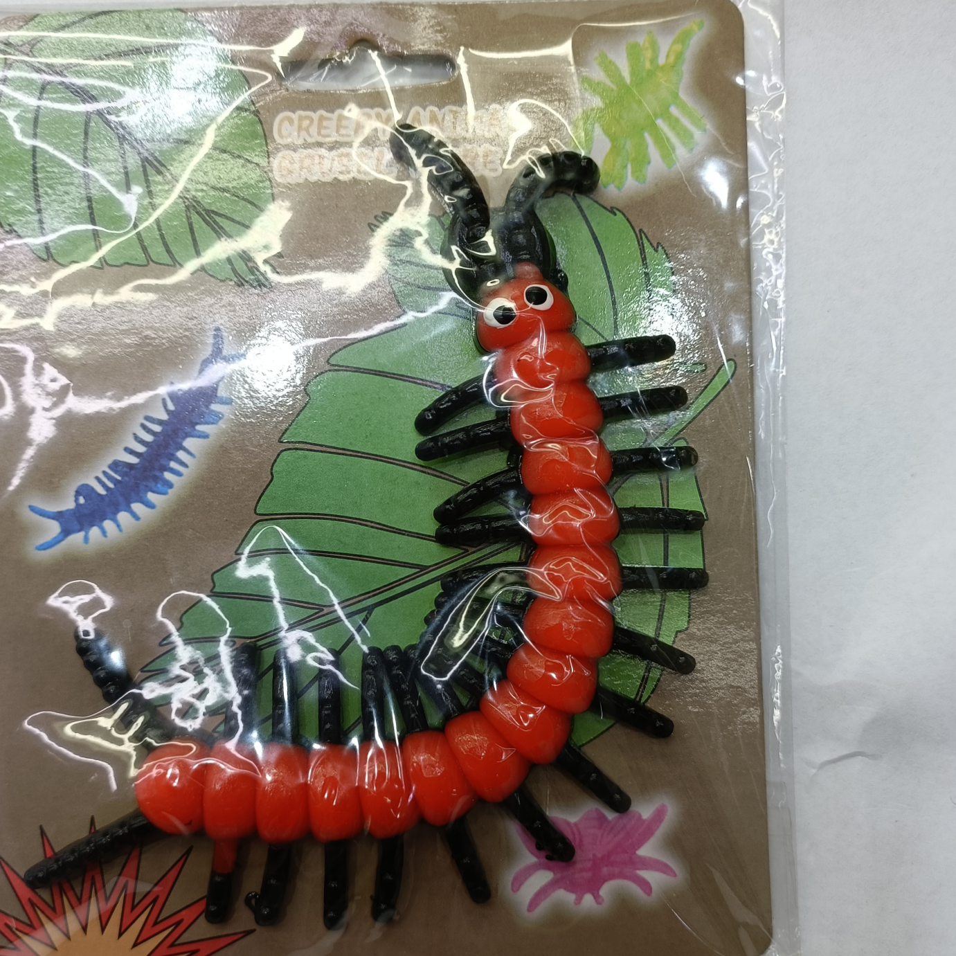Insect 15
