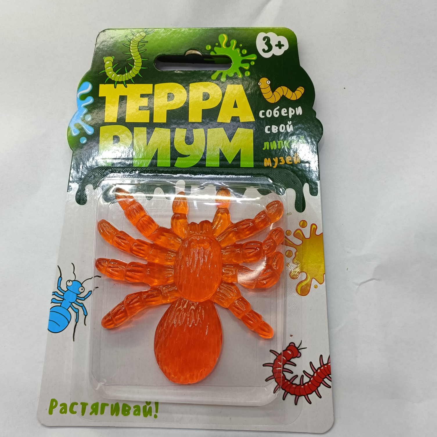 Insects 4