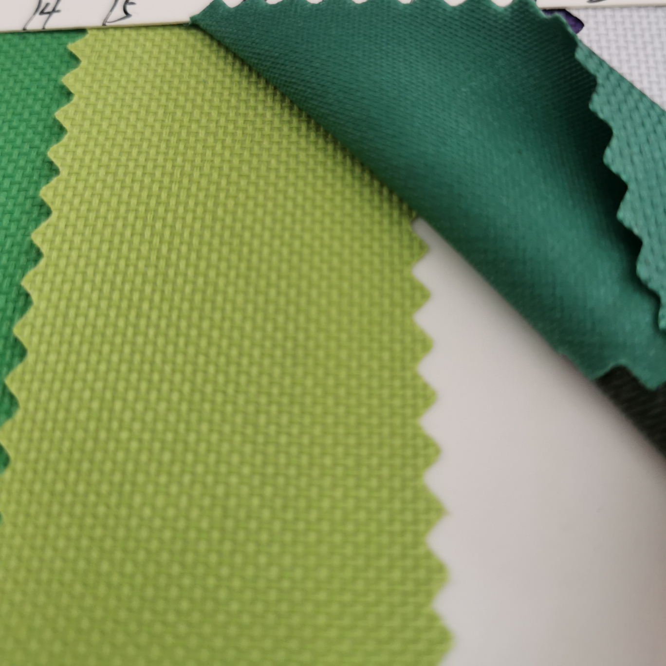 6ooD高弹牛津布果绿色