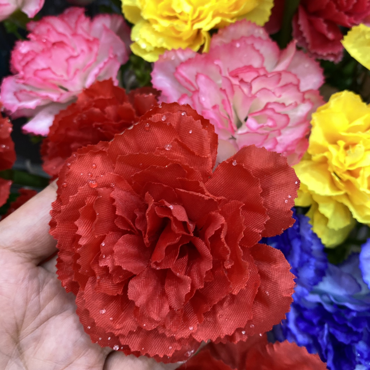 Bright red beads of carnation
