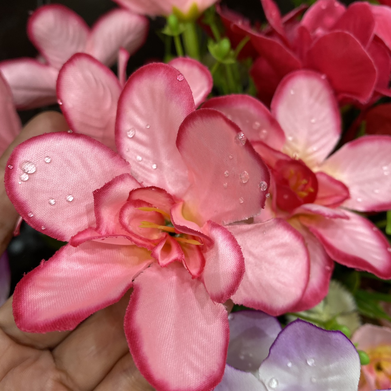 Hexagonal pink flower thumbnail