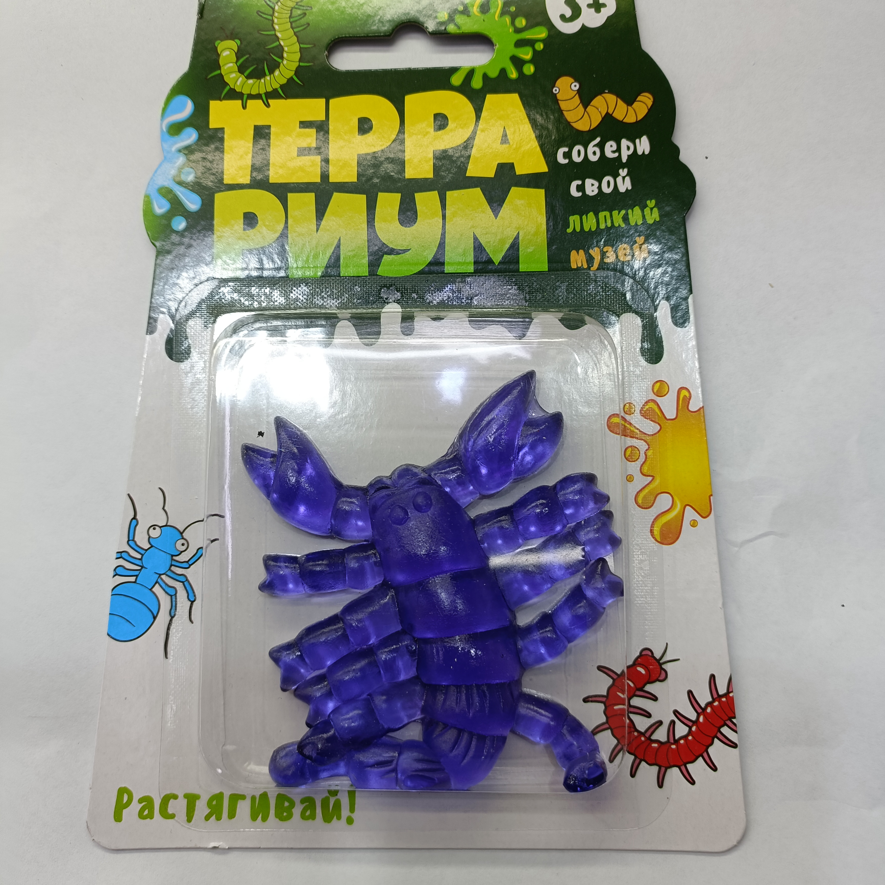 Insects 7
