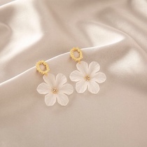 Stud earrings F13