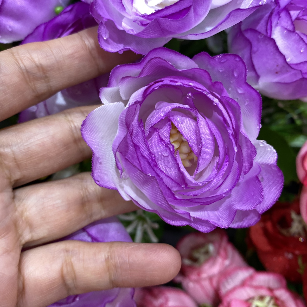 Water drop heart rose purple