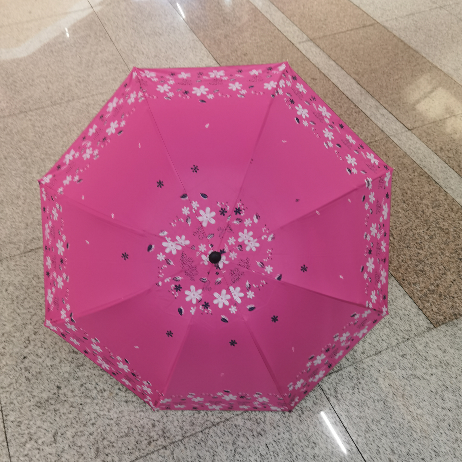 Sunscreen Umbrella 2 thumbnail