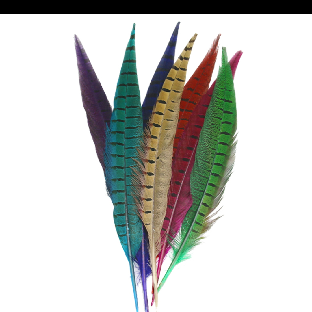 Pheasant tail 20-25 cm straight golden brown