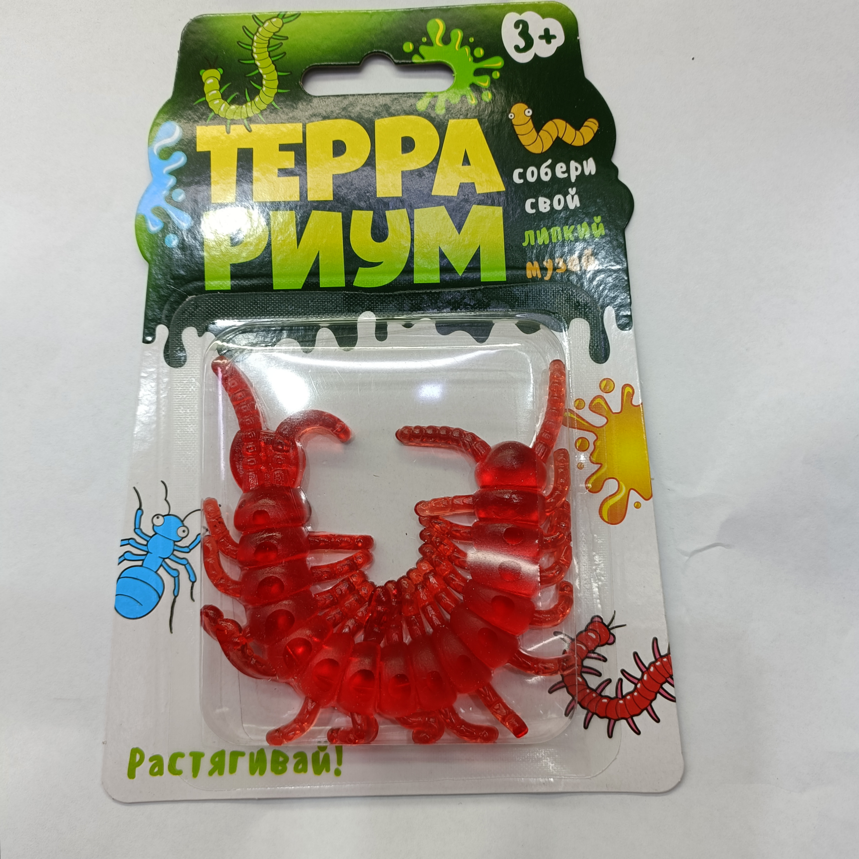 Insects 3