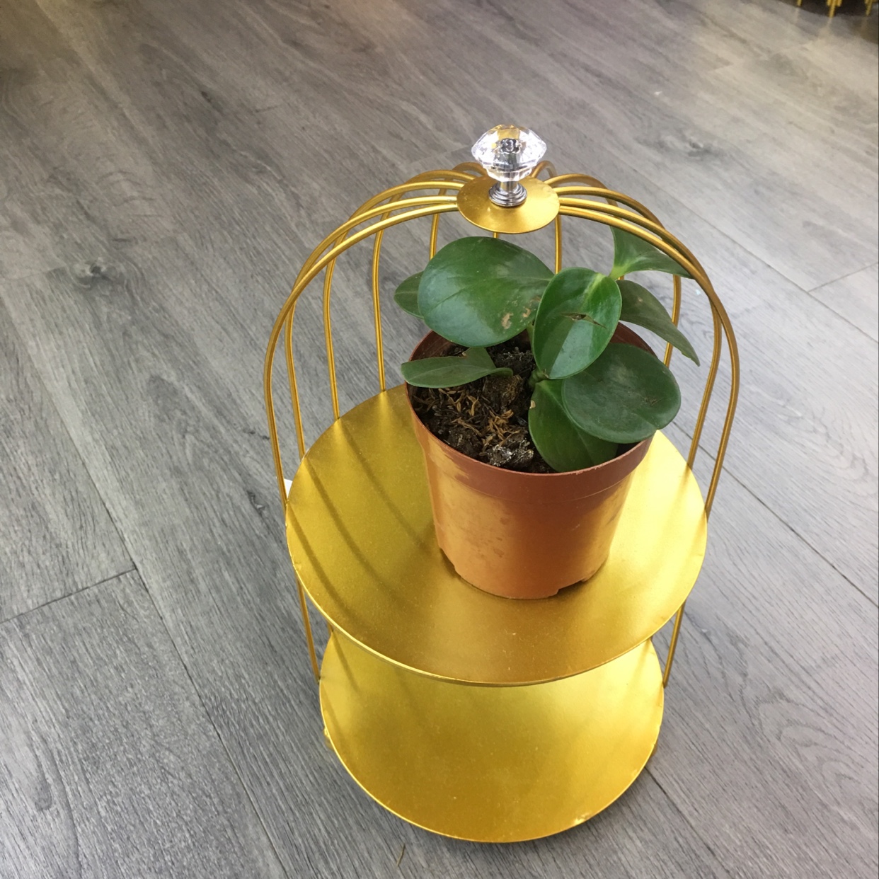 Fruit tray flower stand thumbnail