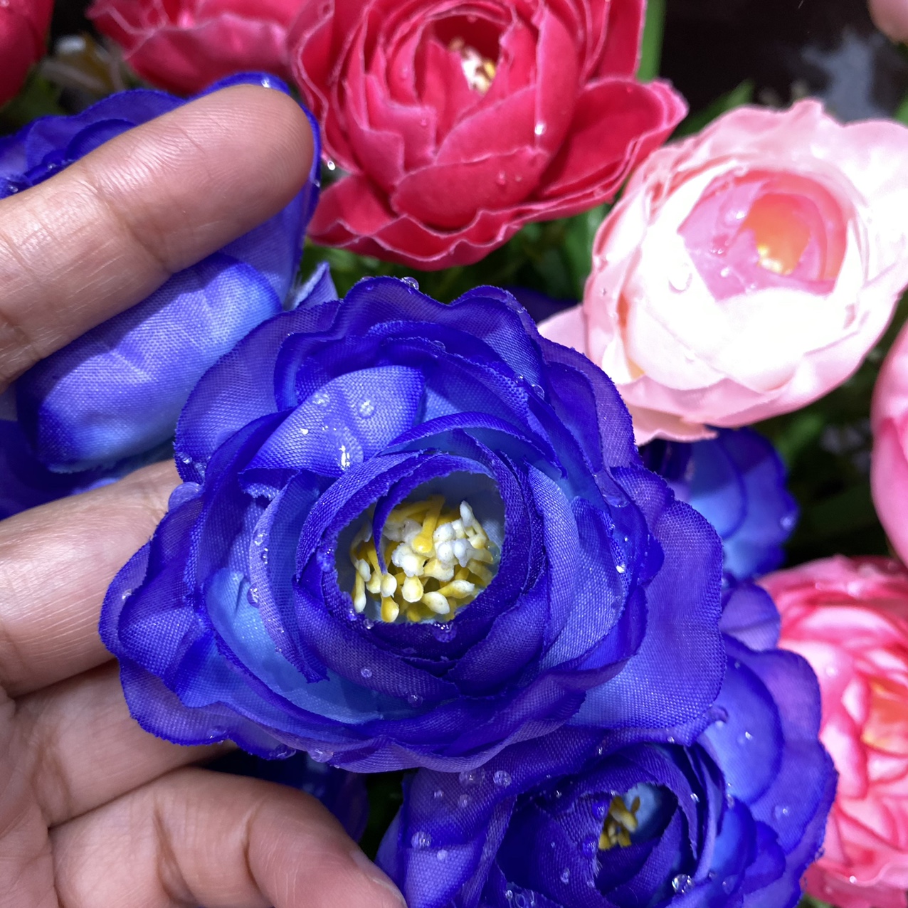 Water drop flower heart rose blue