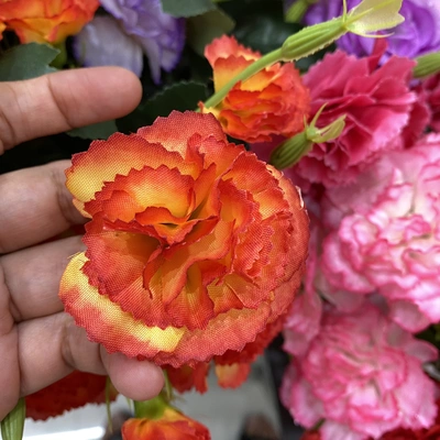 orange
carnation thumbnail