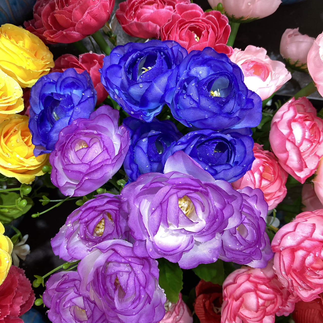 Water drop heart rose mixed color