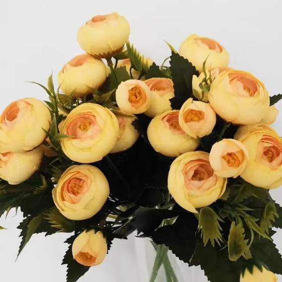 Heart Talk Rose yellow