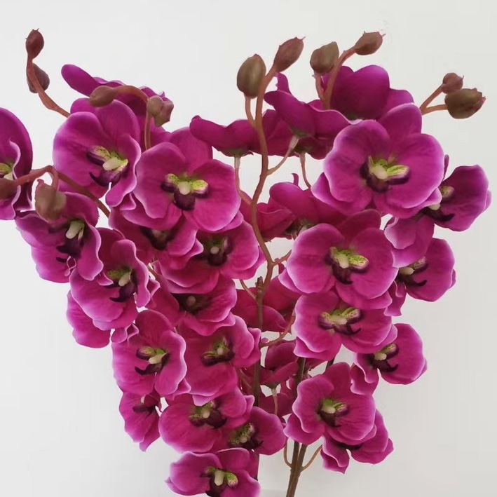 Sihan Flower Industry, artificial flowers, Milan fruit, pink decorative flowers, artificial plastic flowers, artificial flowers, single living room decorative flowers, dried flowers, table surface ornaments, anti-flower art decorations, fff