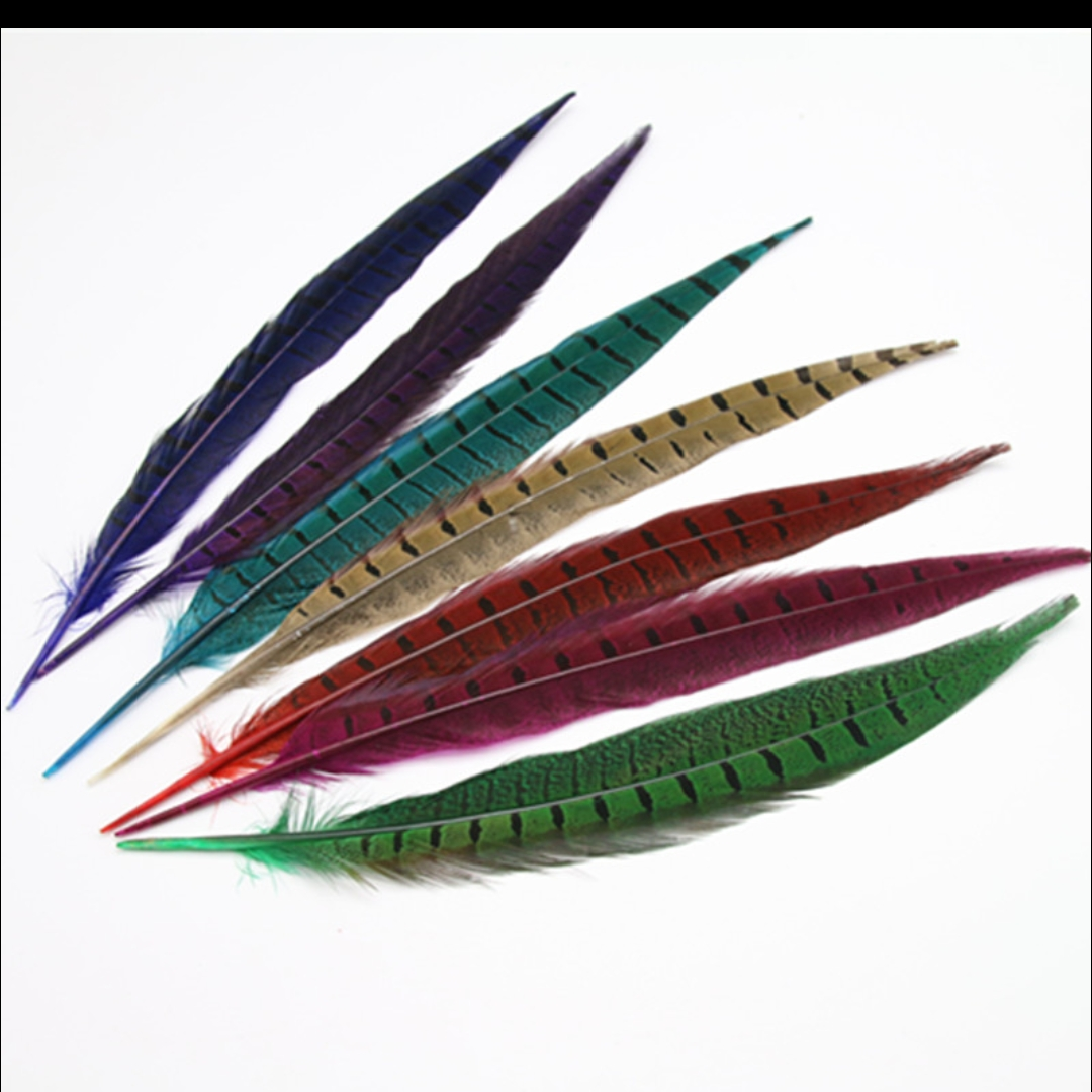 Pheasant tail 35-40 cm straight golden brown