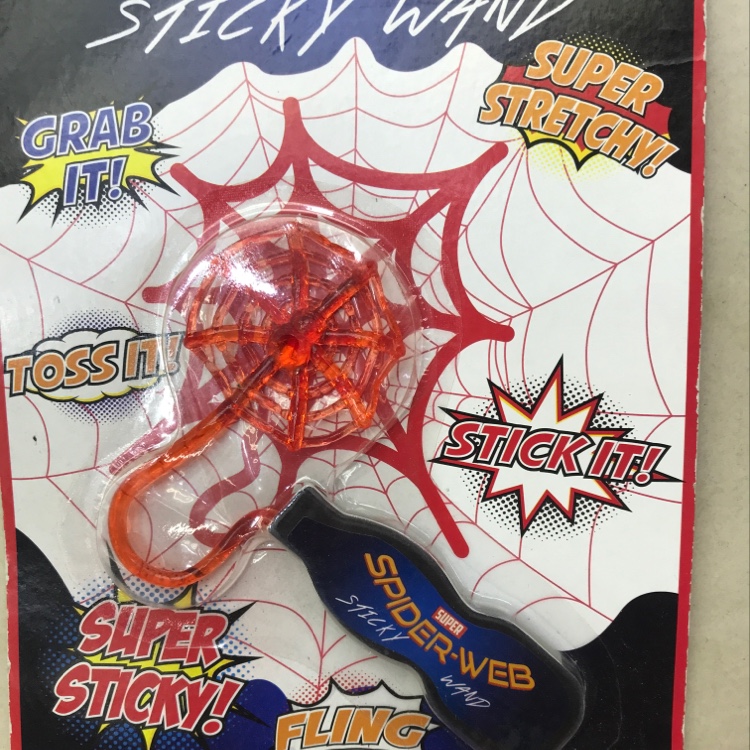 Gourd handle spider web