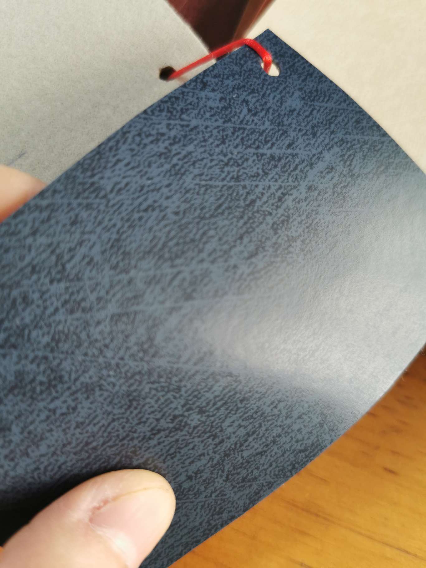 Space leather blue color-coated textured leather detail image 4