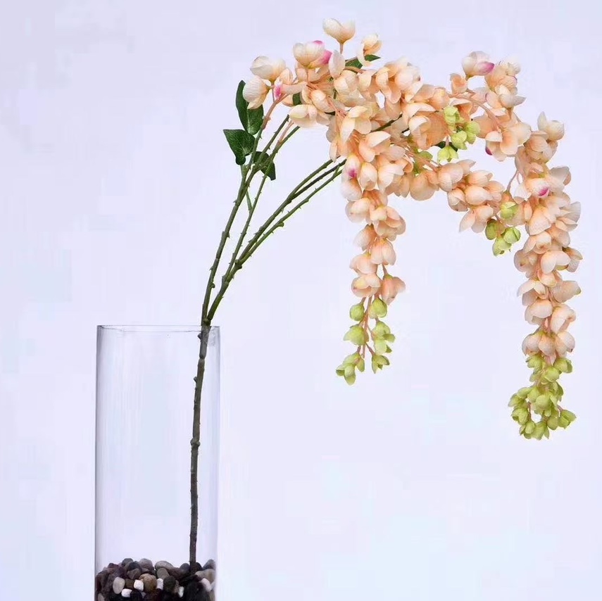 Champagne Abreu