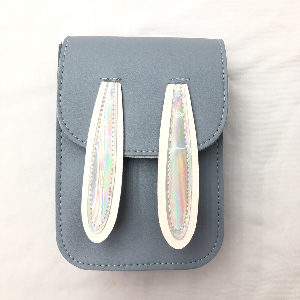 Cartoon Pouch