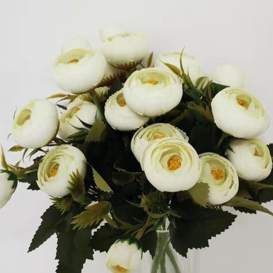 Milky white Heart Talk Rose