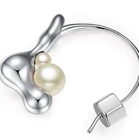 Earhook shoe earrings