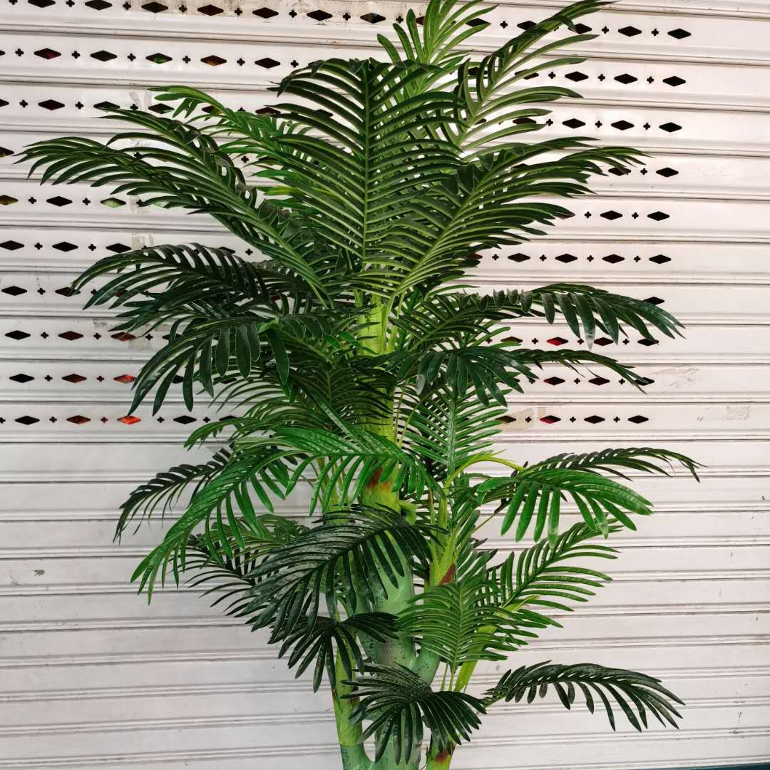 凤凰葵树工艺品商务礼品招财树摆件树装饰品