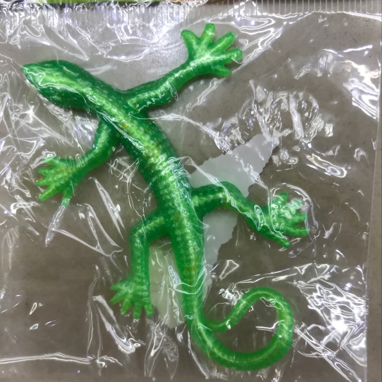 Gecko small 1