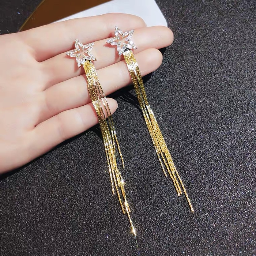 Earrings 420
