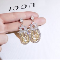 Earrings 439