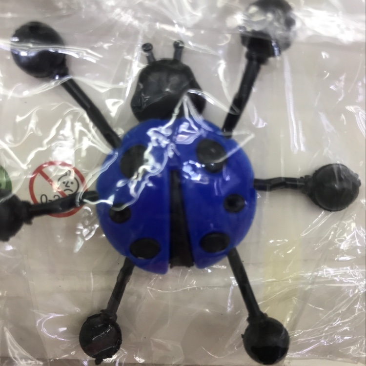 Beetle climbing wall 4