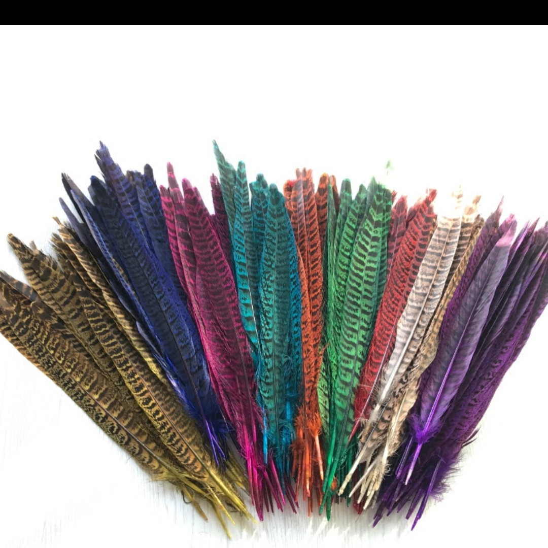 母山鸡尾30-35公分直染酒红色