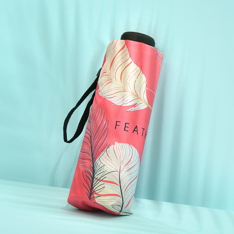 501五折枫叶黑胶