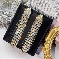 Earrings 455
