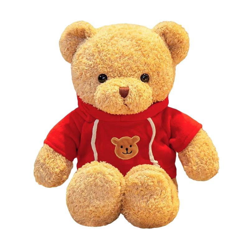 Gift box Teddy Bear plush toy Cuddle Bear doll doll doll girl girlfriend birthday gift 5