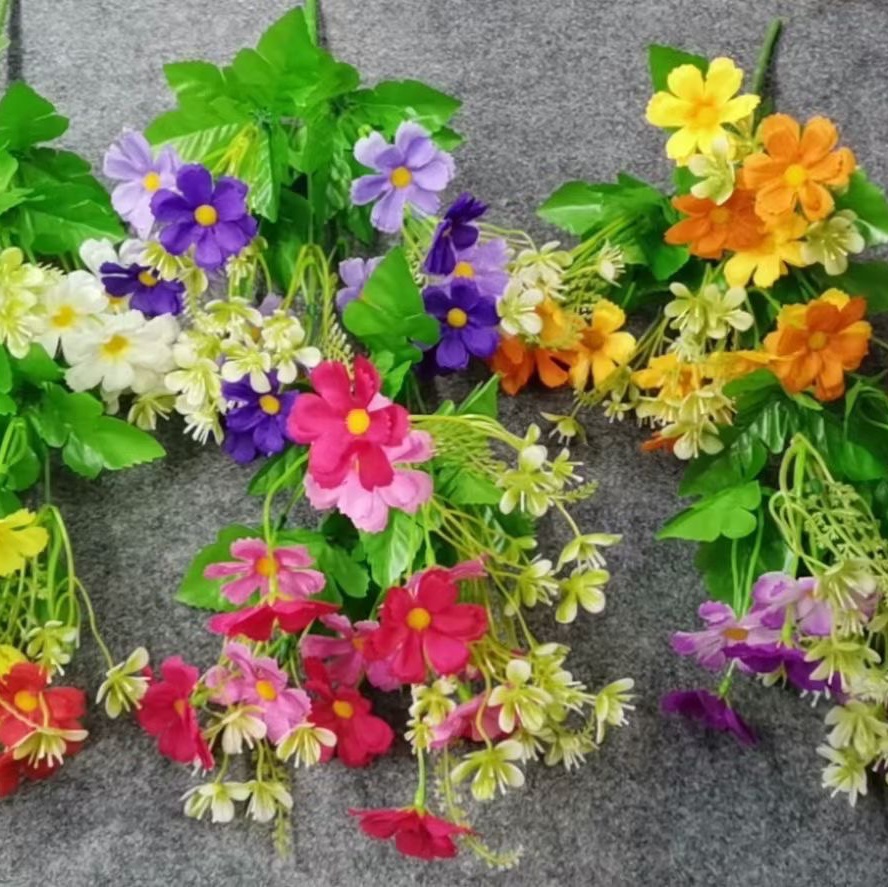 8 small chrysanthemums, suitable for both indoor and outdoor decoration, especially for flower arrangement. Environmental protection. Pollution-free