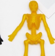 Soft skeleton 48