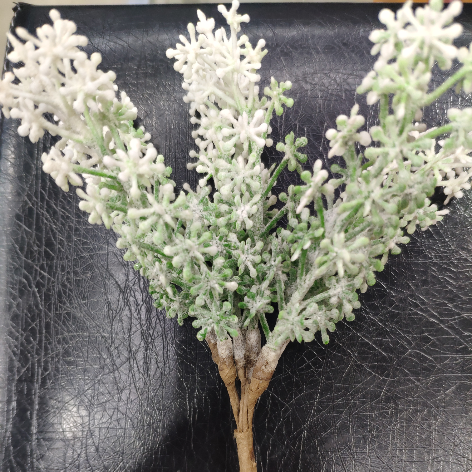 Pine branch