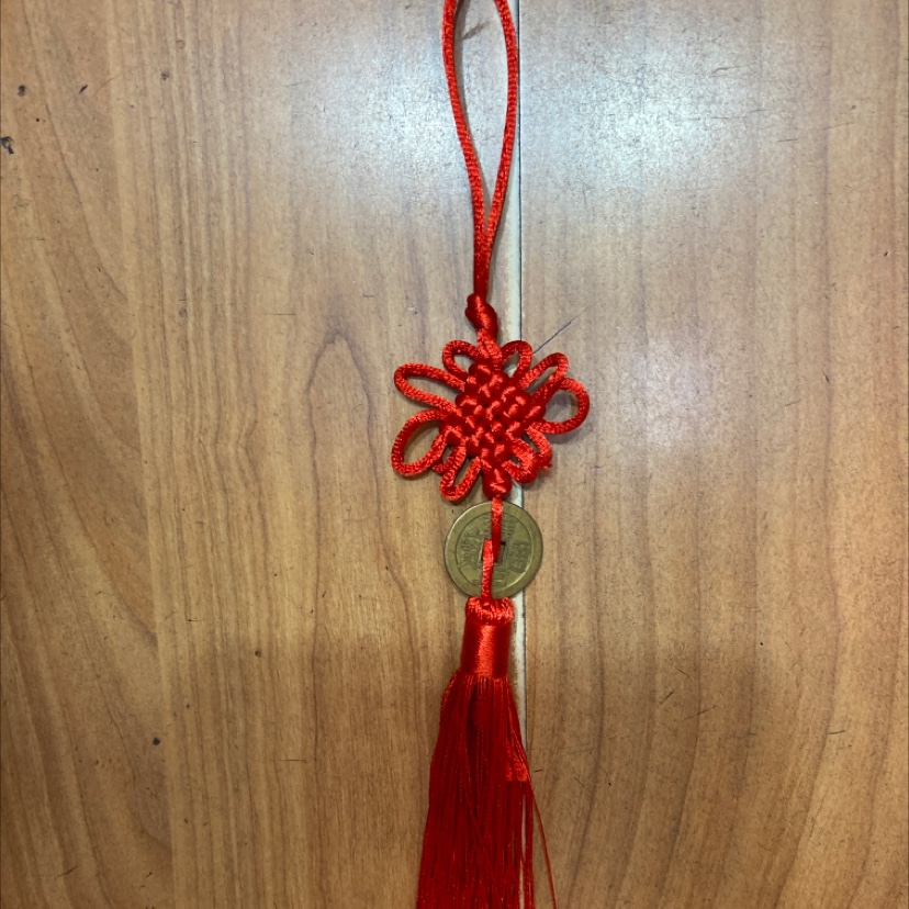 R6 red knot hanging copper coins