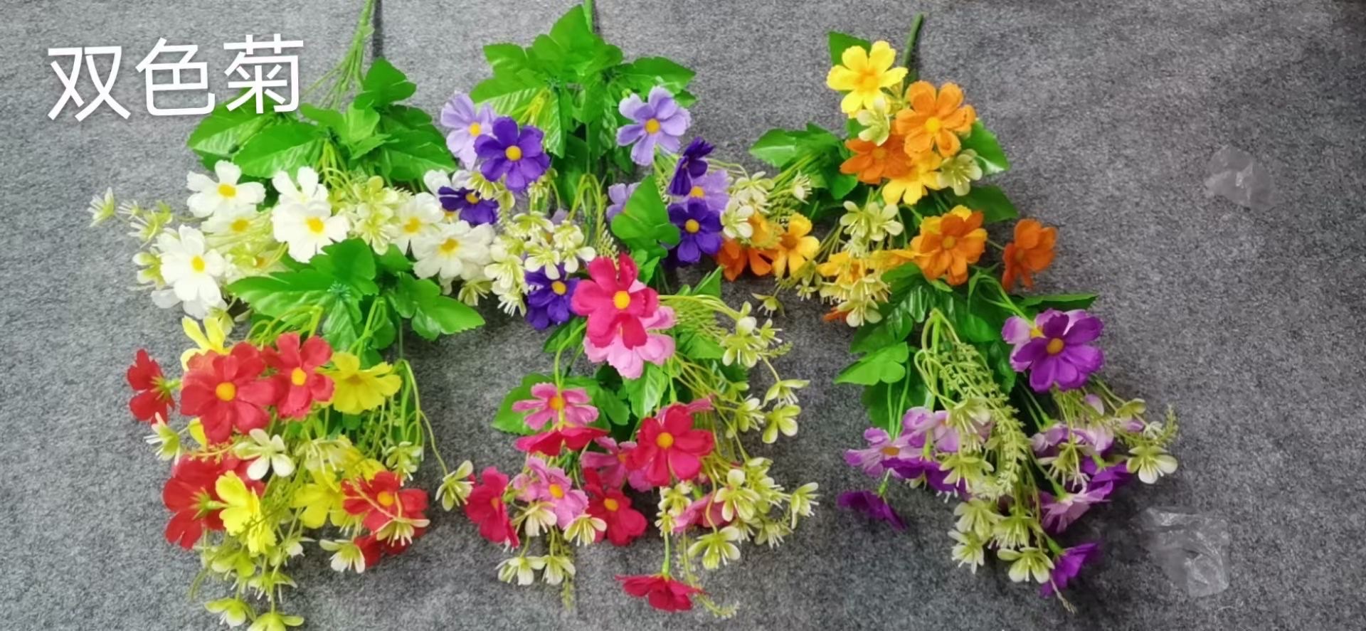 8 small chrysanthemums, suitable for both indoor and outdoor decoration, especially for flower arrangement. Environmental protection. Pollution-free details Picture