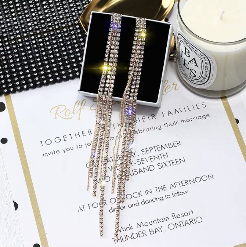Earrings 480
