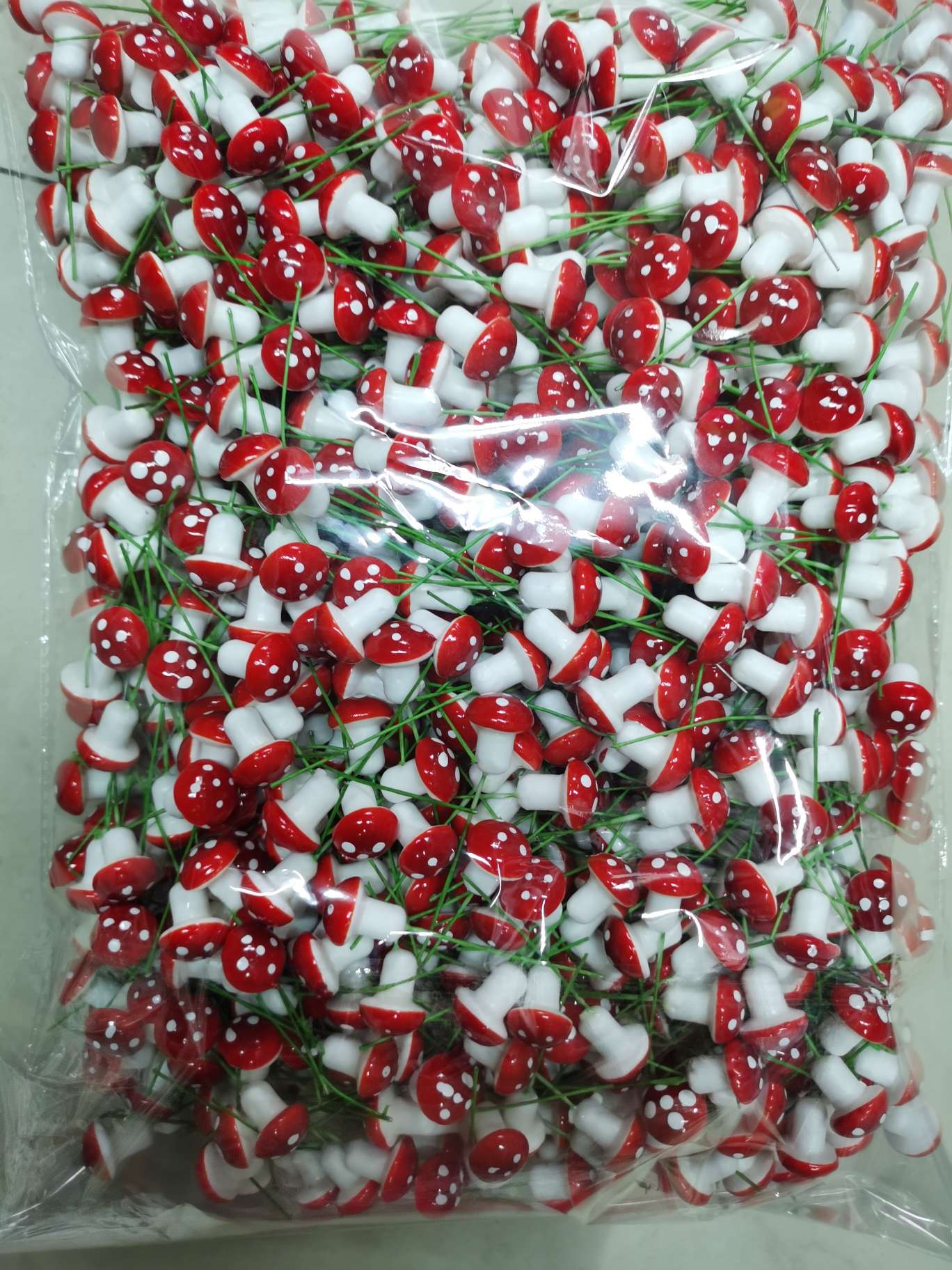 25 Mushrooms Item Picture