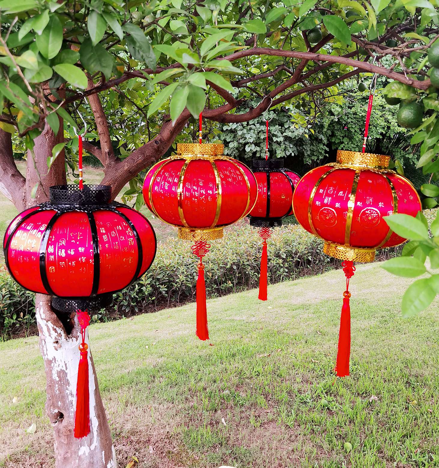 灯笼/节庆灯笼/喜庆灯笼白底实物图