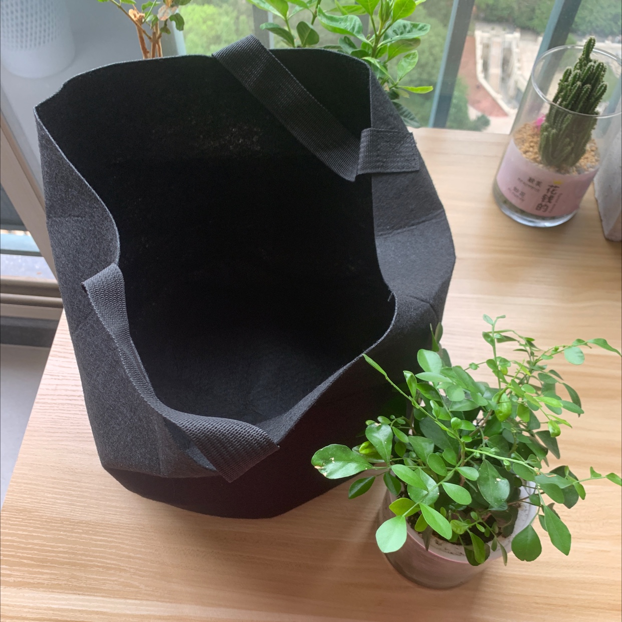 Best-selling planting bucket, eco-friendly non-woven fabric felt cloth with handle, black drizzle 121