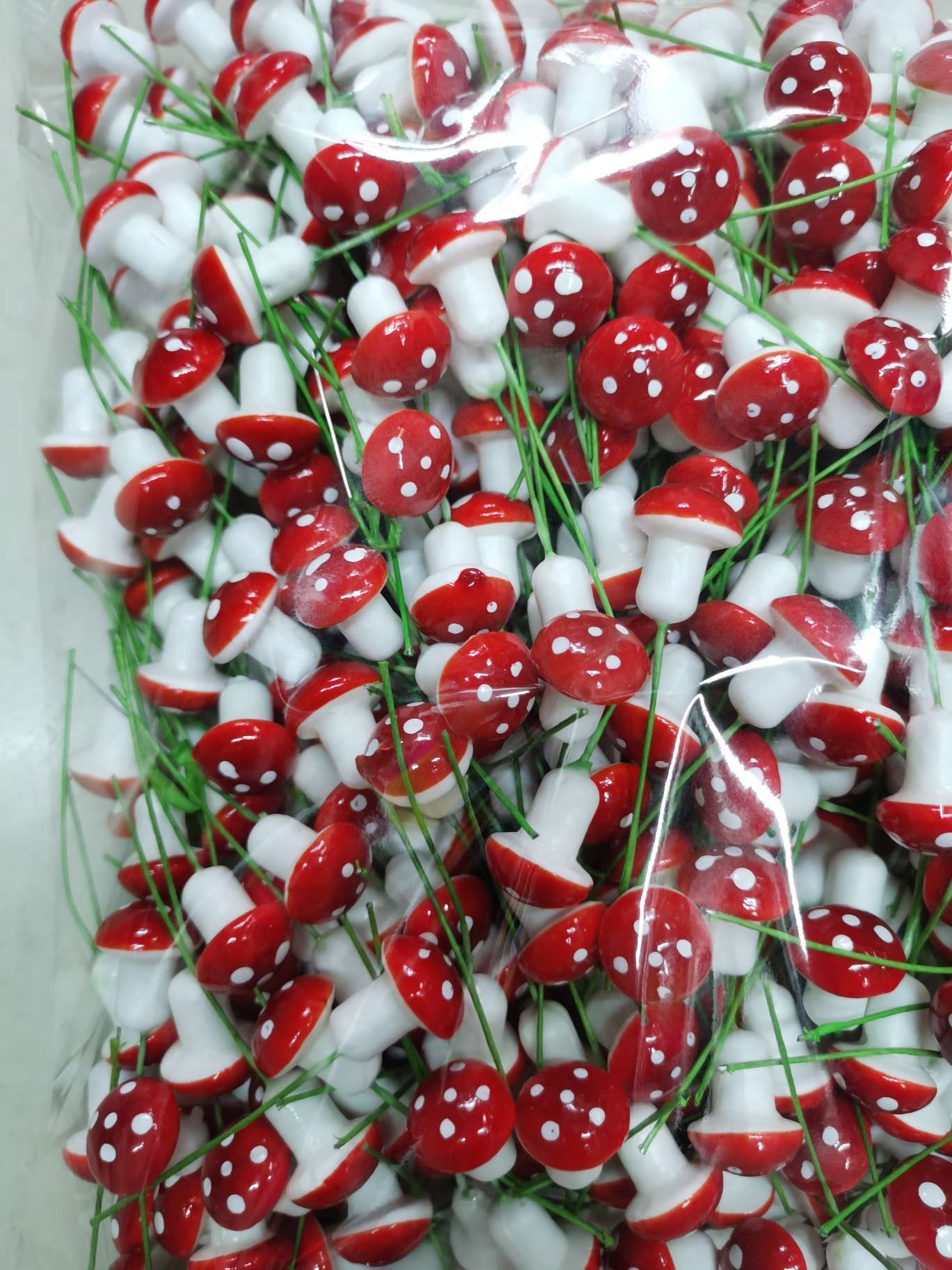 25 Mushrooms details Picture