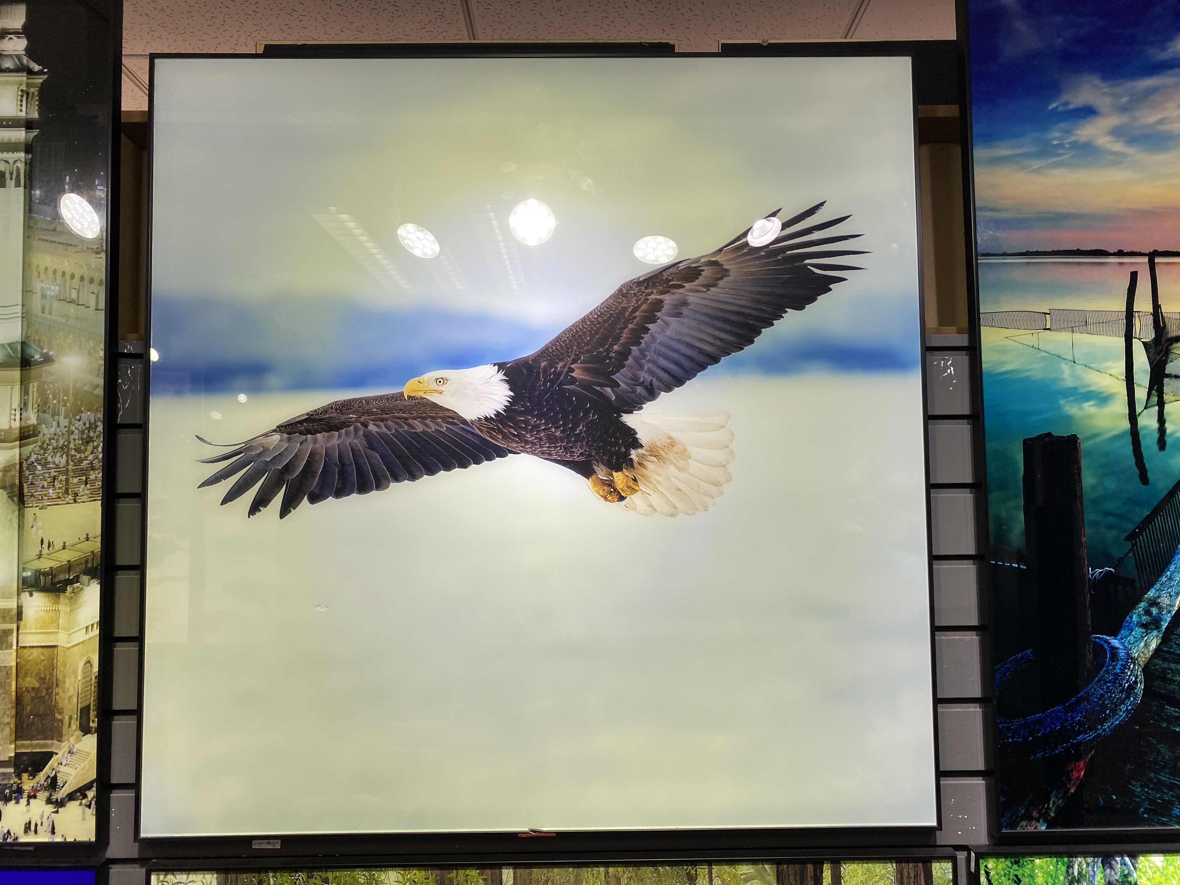 装饰画/画业产品图