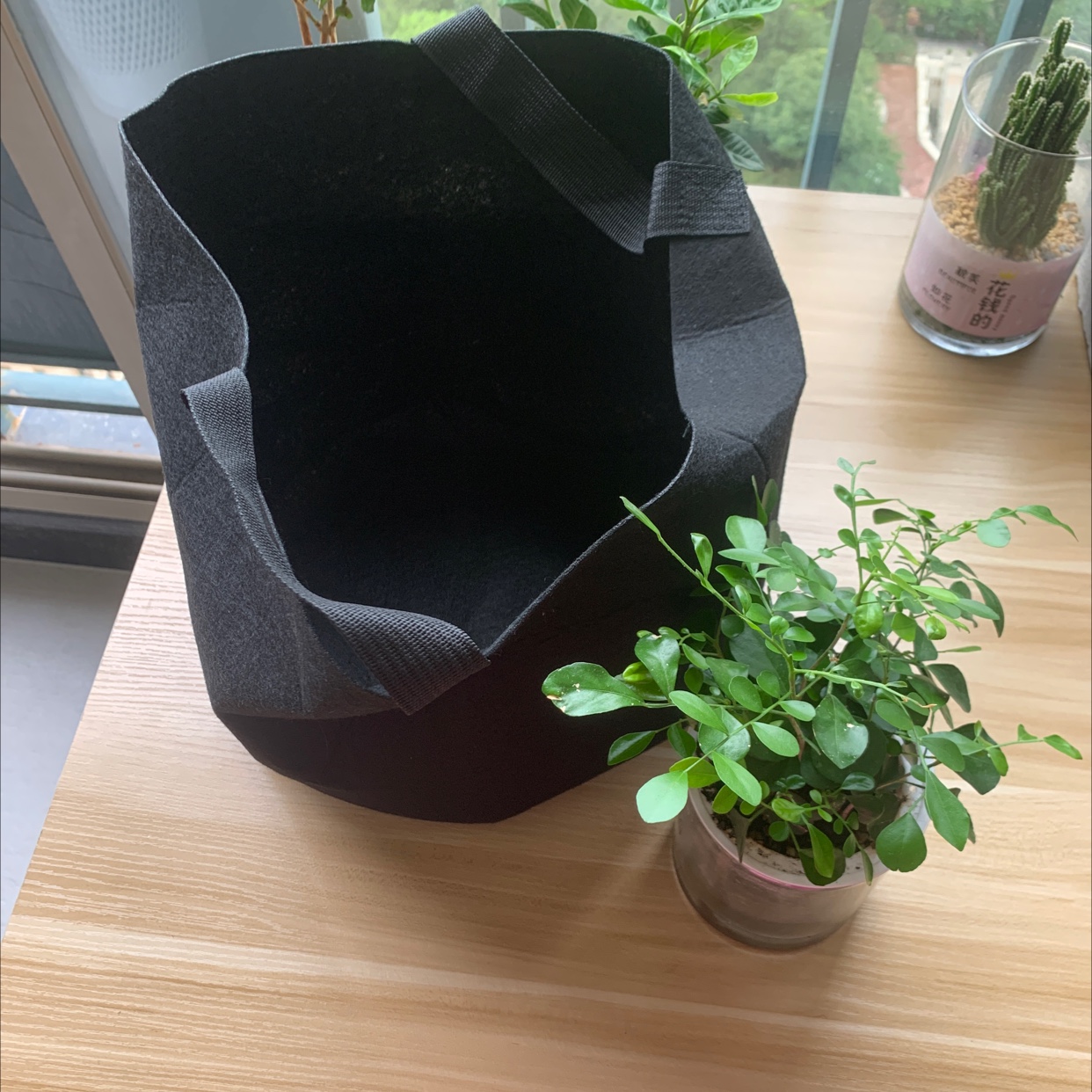 Best-selling planting bucket, eco-friendly non-woven fabric felt cloth with handle, black drizzle 121 detail image 1