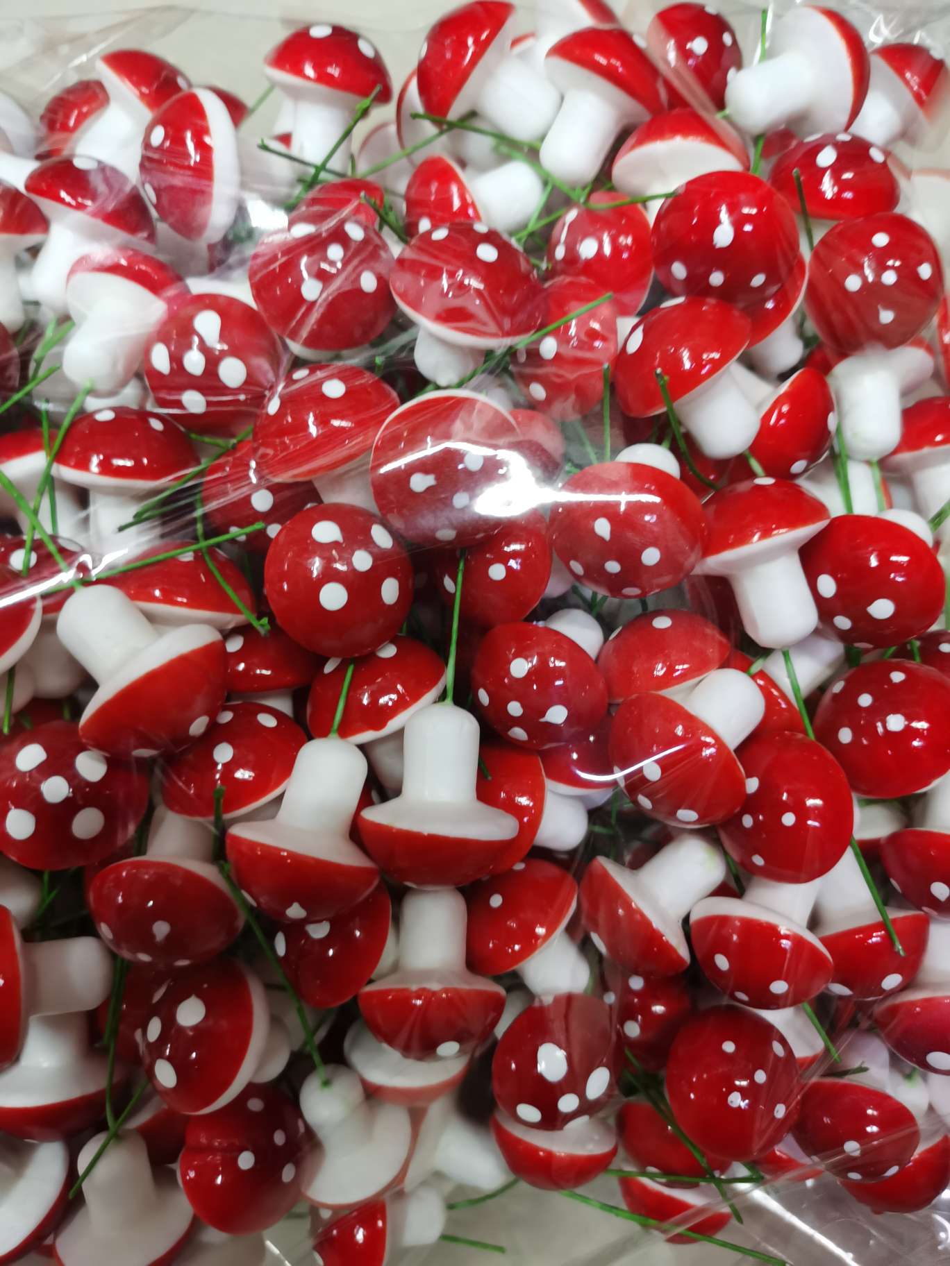 30 Mushrooms details Picture