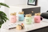 Trendy Korean version of home macaron ceramic coffee cups, mugs, spoons and water cups details Picture