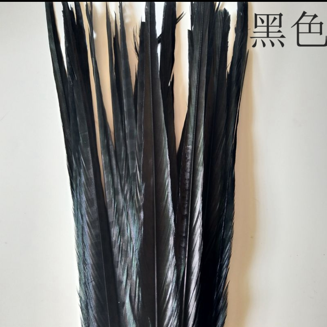 山鸡尾55-60公分脱染黑色