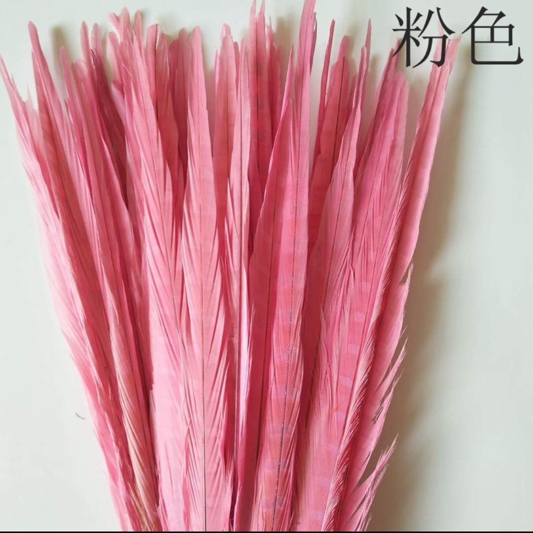 山鸡尾55-60公分脱染粉色